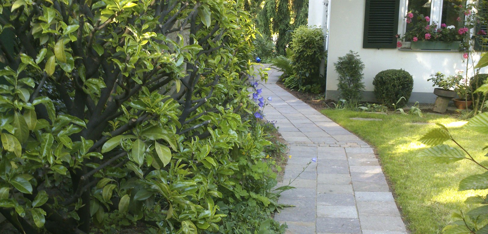 Gartenpflege, Bepflanzung als auch Stein und Pflasterarbeiten